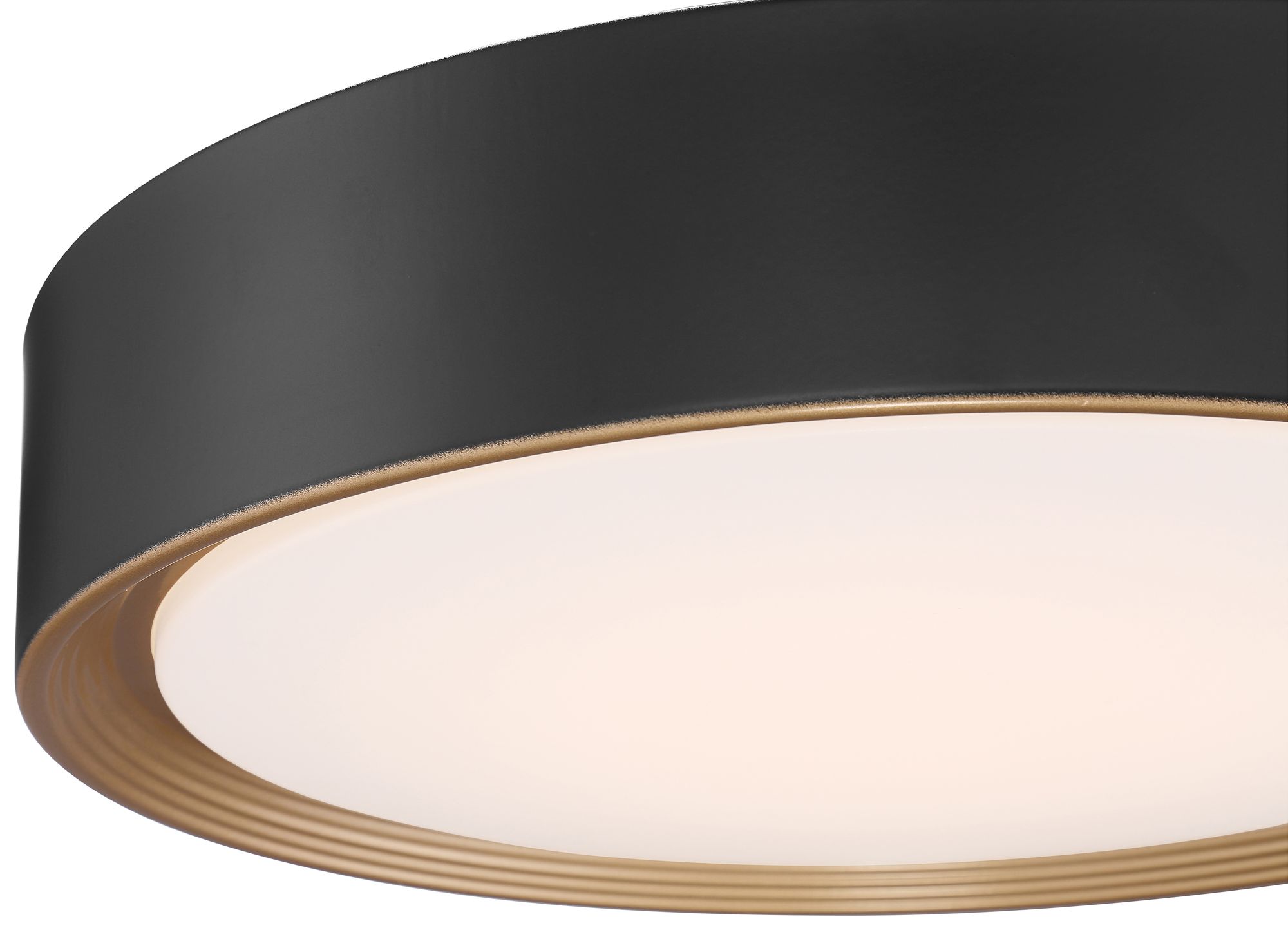 19 inch ceiling light