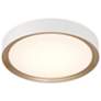 4_Malaga Color Selectable 23 3/4" Wide White LED Ceiling Light more views