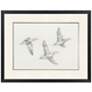 2_Mallard Duck Sketch I 39"W x 31"H Framed Art