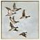 Mallard Migration I 38"W x 38"H Canvas