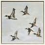 1_Mallard Migration II 38"W x 38"H Canvas
