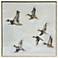 Mallard Migration II 38"W x 38"H Canvas