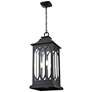 3_Mallorey 25 1/4"H Powder-Coated Black Outdoor Hanging Light more views