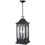 4_Mallorey 25 1/4"H Powder-Coated Black Outdoor Hanging Light more views