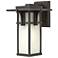 Manhattan 11 3/4" High Oil-Rubbed Bronze Outdoor Wall Light