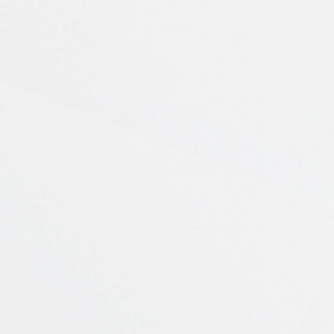 Manhattan Comfort Hopkins Modern  Storage Closet 3.0 in White