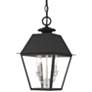 Thumbnail3 of Mansfield 15" High Black 2-Light Outdoor Hanging Light