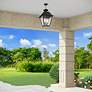 3_Mansfield 4 Light Outdoor Pendant more views