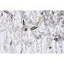 5_Maria Theresa 6 Lt Chrome Flush Mount Clear more views