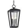 Mariden 19 3/4" High Textured Black Outdoor Hanging Light
