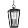 Mariden 19 3/4" High Textured Black Outdoor Hanging Light