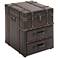 Marina 18" Wide Dark Brown Wood 2-Drawer Storage Cabinet
