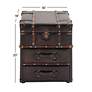 Marina 18" Wide Dark Brown Wood 2-Drawer Storage Cabinet