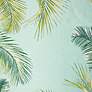 Thumbnail2 of Marina Palm Border 815104 Aqua Indoor/Outdoor Rug more views