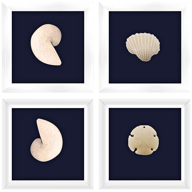 Image 1 Marine Fossils 7 inch Square 4-Piece Framed Wall Art Set