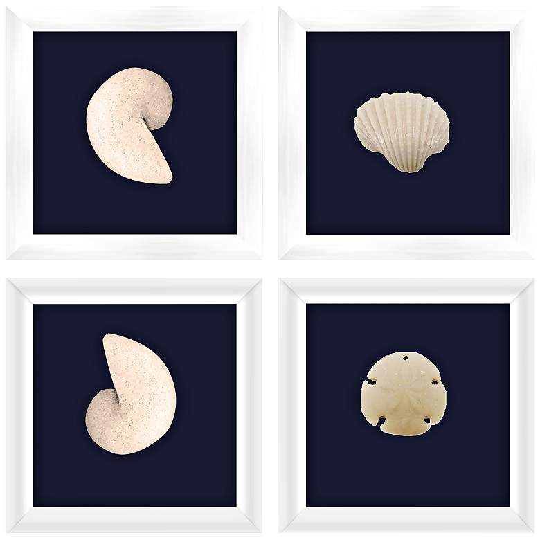 Image 1 Marine Fossils 7" Square 4-Piece Framed Wall Art Set