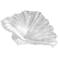 Marine Mist Distressed White 10 3/4" Sea Shell Sculpture
