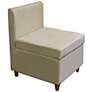 Marley Beige Upholstered Storage Accent Chair