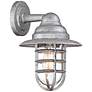Marlowe 13" High Galvanized Hooded Cage Outdoor Wall Light in scene