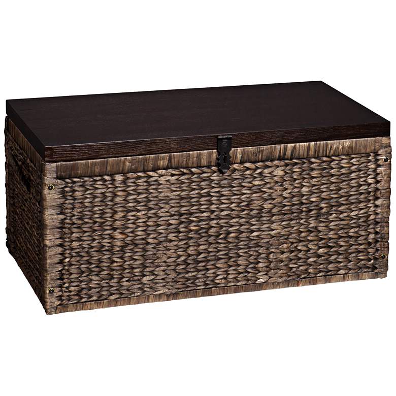 Image 1 Marsh 37 3/4" Wide Blackwash Espresso Finish Storage Trunk