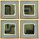 Marsh and Sod 16"W x 16"H Framed Art - Set of 4