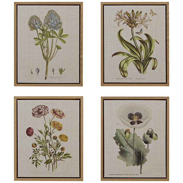 Image 2 Martha Stewart Green Herbal Botany Framed Linen Canvas 4 Piece Set