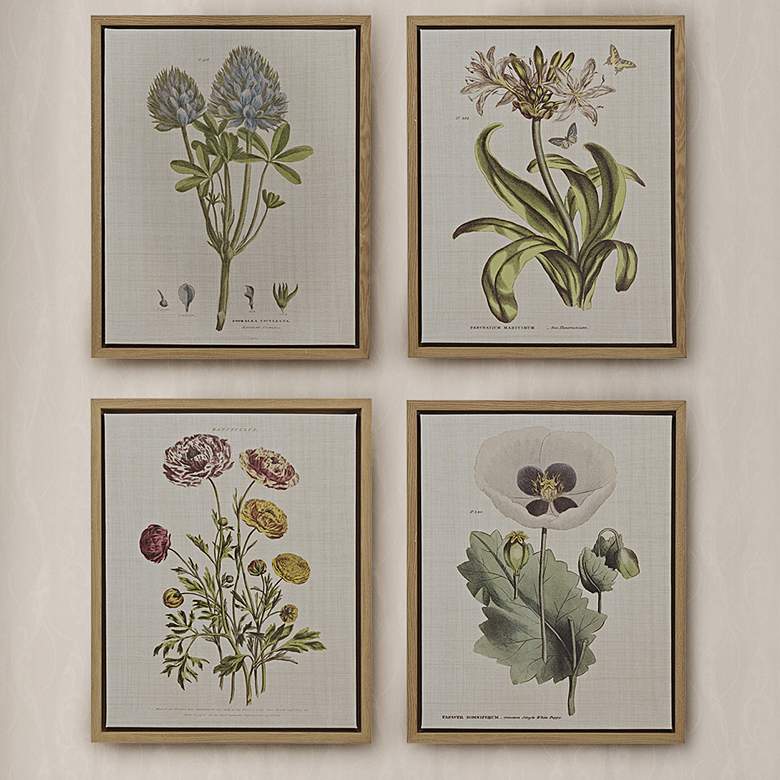 Image 1 Martha Stewart Green Herbal Botany Framed Linen Canvas 4 Piece Set