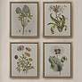 Martha Stewart Green Herbal Botany Framed Linen Canvas 4 Piece Set