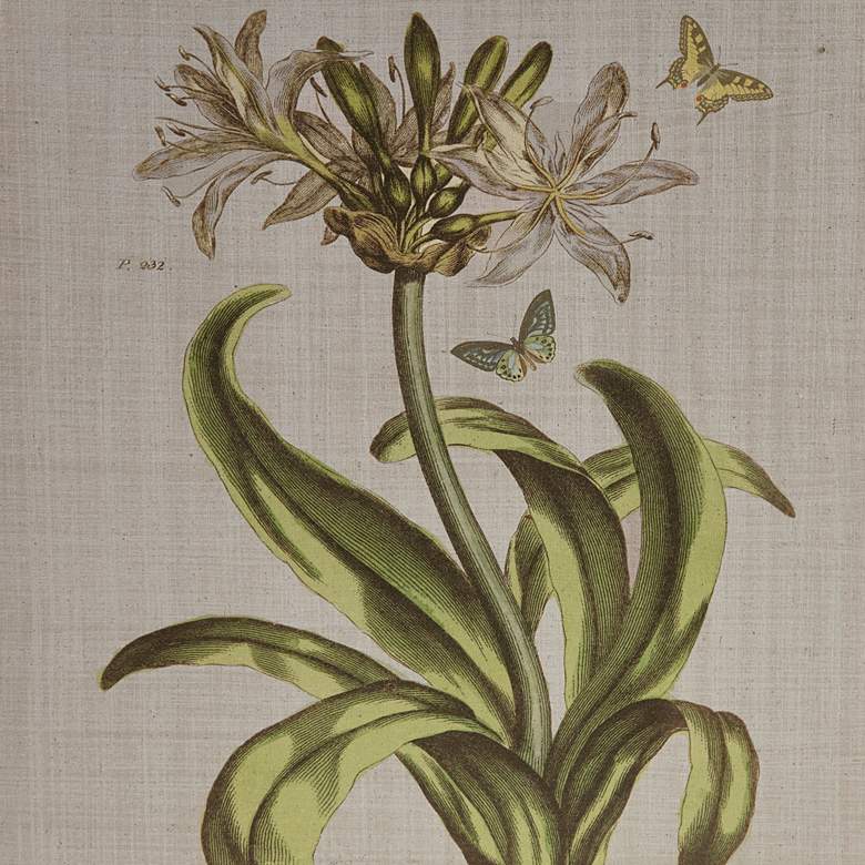 Image 6 Martha Stewart Green Herbal Botany Framed Linen Canvas 4 Piece Set more views