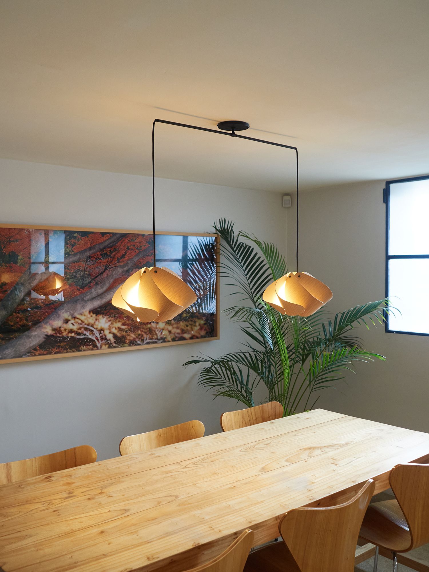 Matilda Pendant WEP - Ash Shade - Black Canopy - Size 17.4