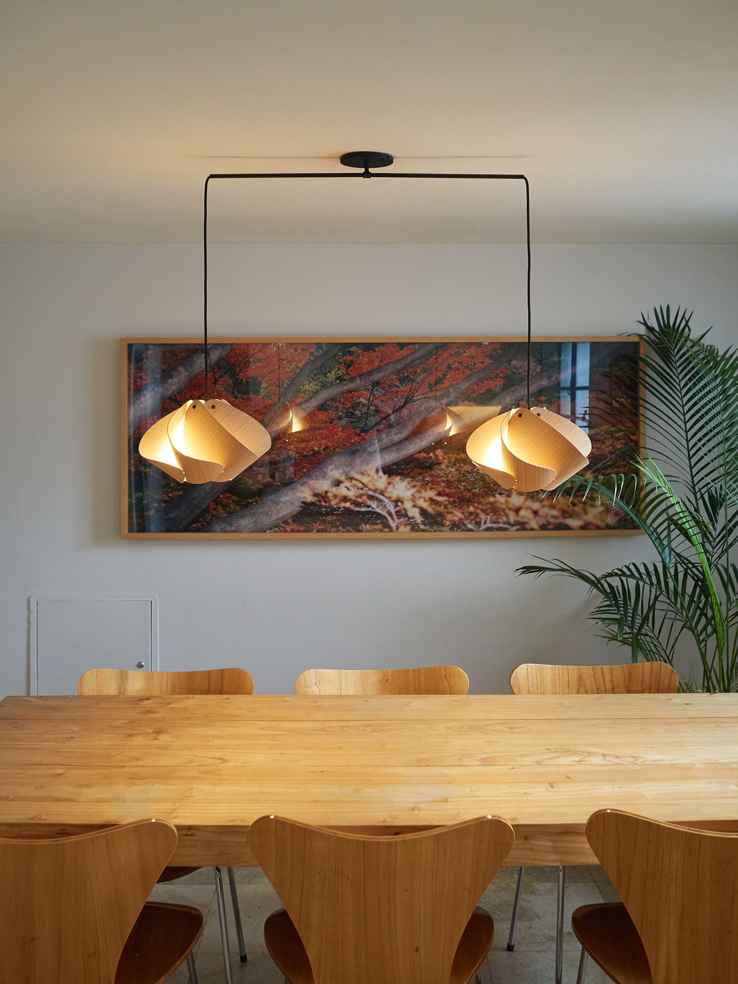 Matilda Pendant WEP - Ash Shade - Black Canopy - Size 17.4