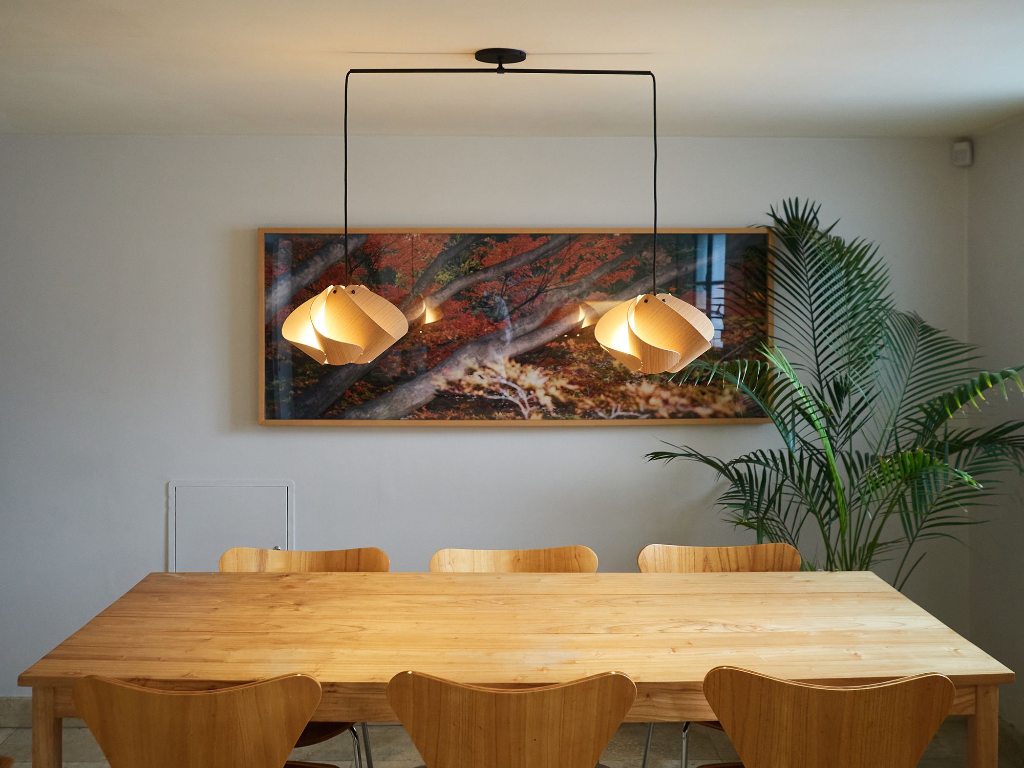 Matilda Pendant WEP - Ash Shade - Black Canopy - Size 17.4