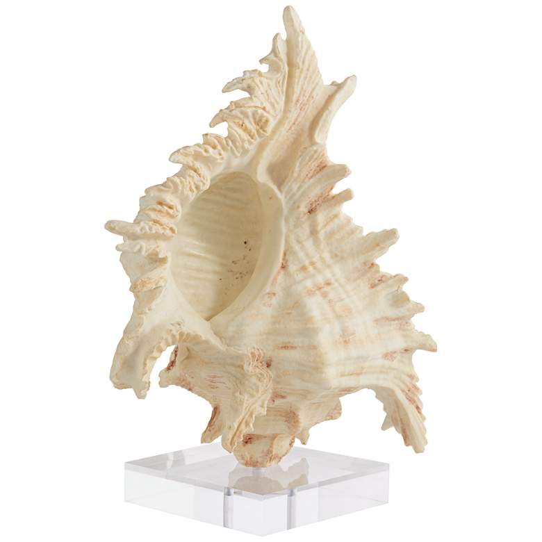 Image 1 Matte Cream 11 3/4" High Conch Sculpture