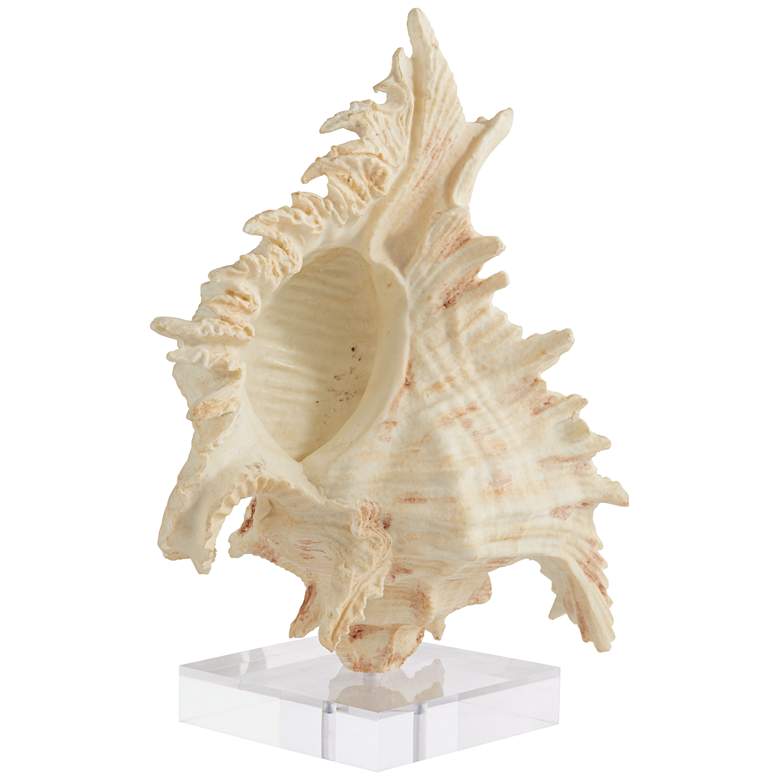 Image 1 Matte Cream 11 3/4 inch High Conch Sculpture