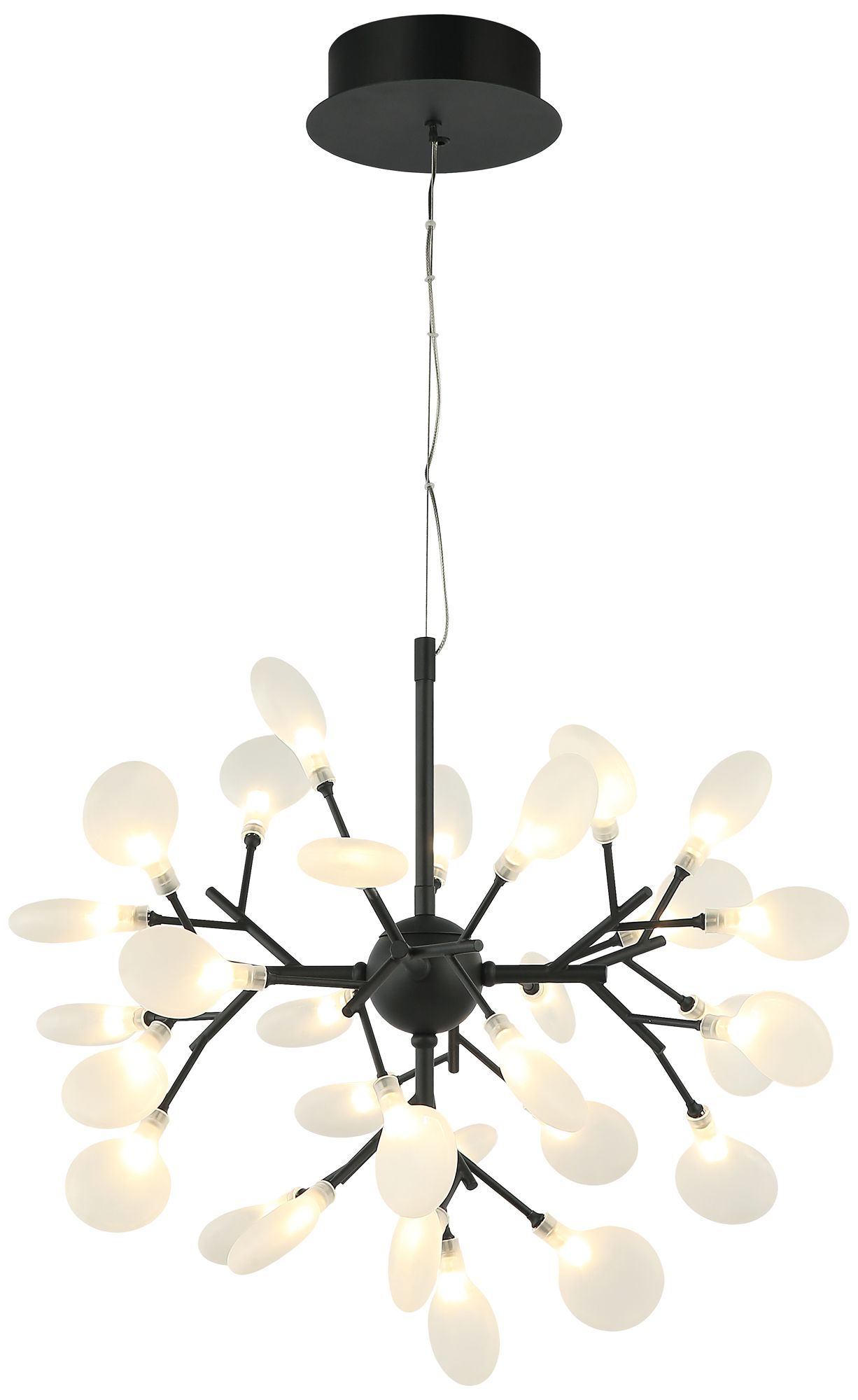Matteo 30 LT 24  HYDRANGEA BLOOM MATTE BLACK CHANDELIER G4