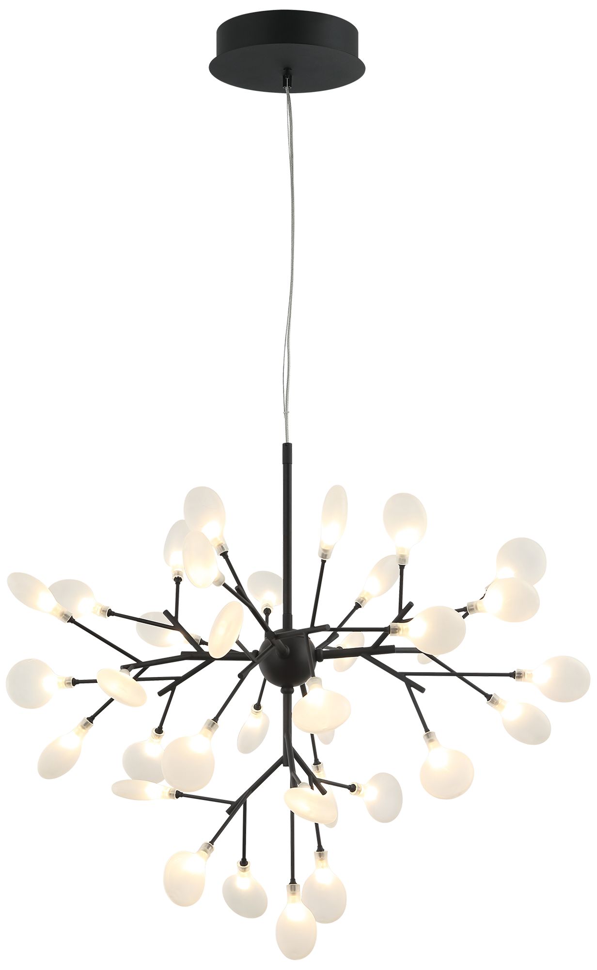 Matteo 30 LT 24  HYDRANGEA BLOOM MATTE BLACK CHANDELIER G4