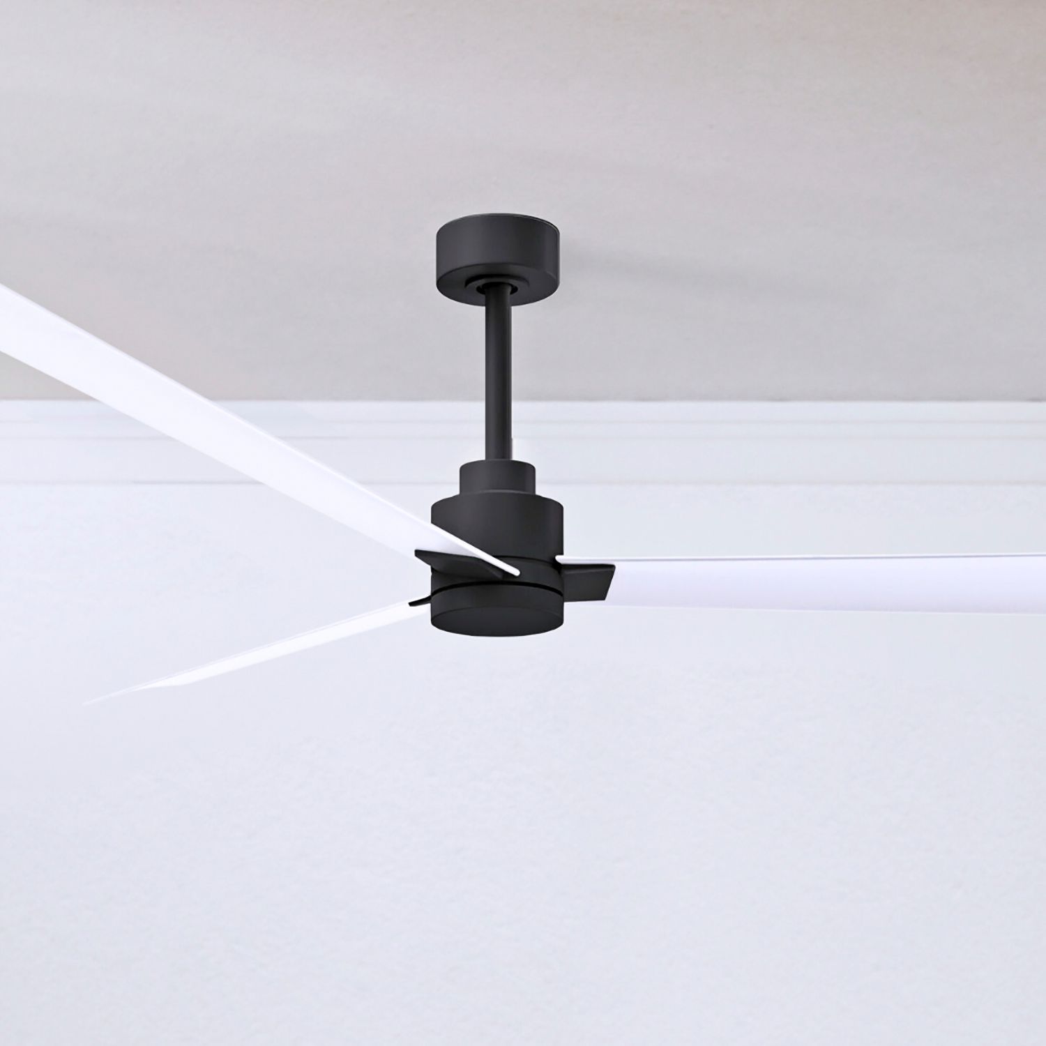 Matthews Fan Alessandra Black Collection