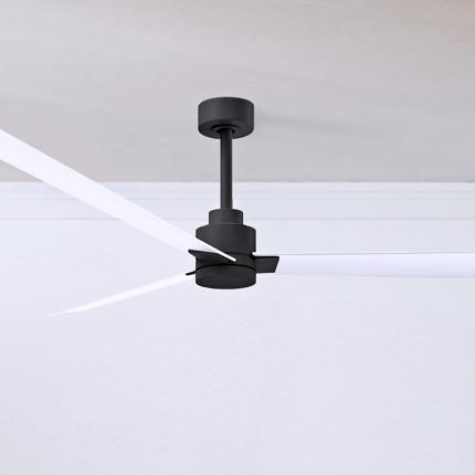 Matthews Fan Alessandra Black Collection