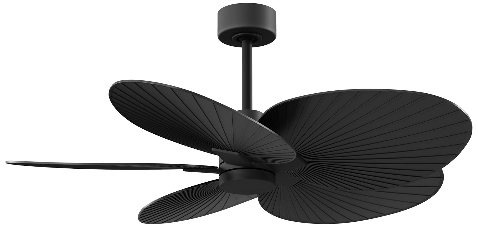 Matthews Fan Alessandra Tropical Black Collection