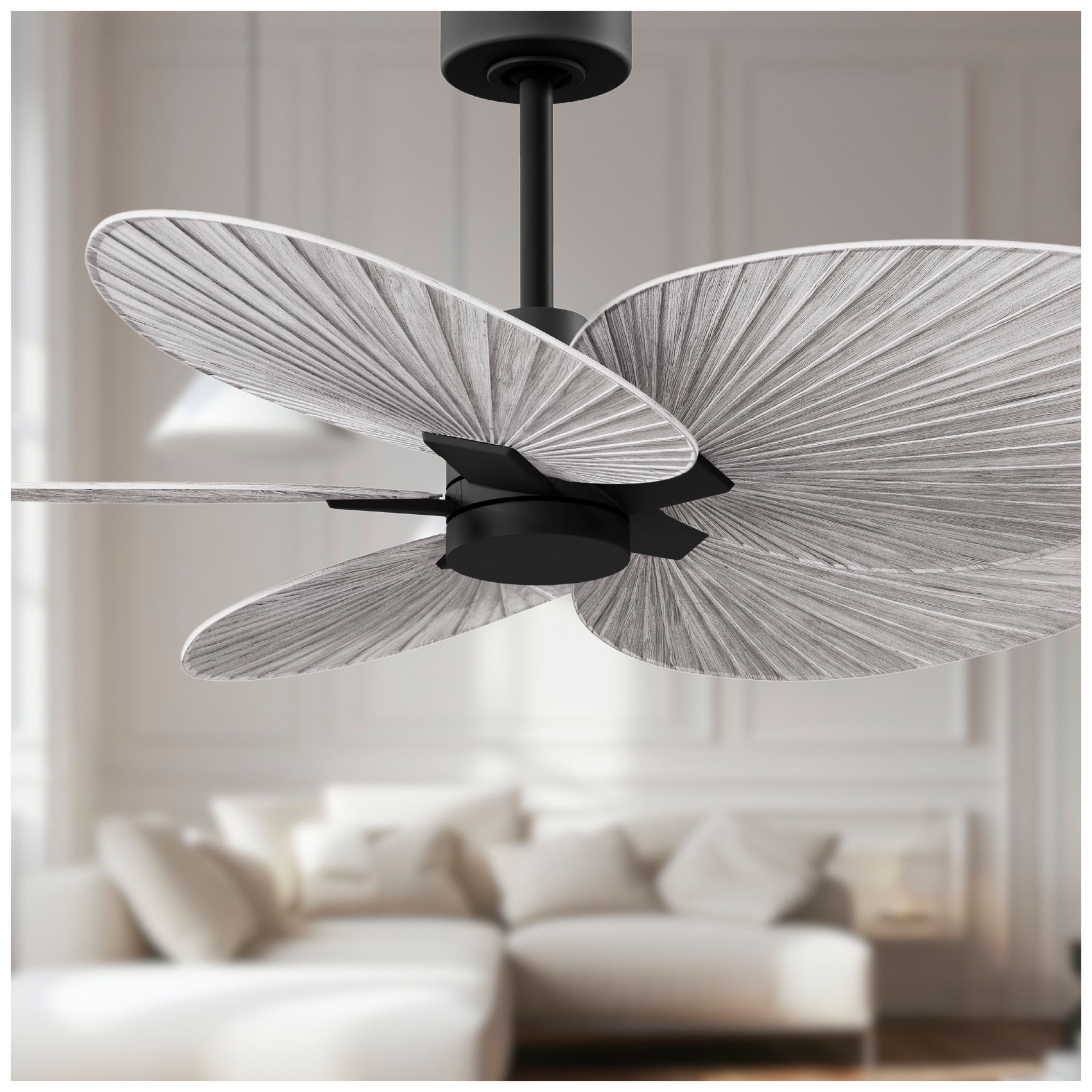 Matthews Fan Alessandra Tropical Black Collection