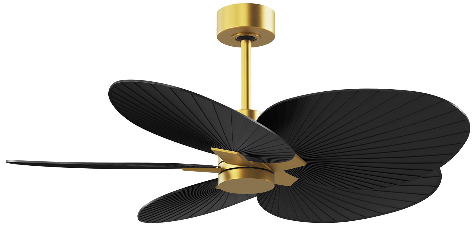 Matthews Fan Alessandra Tropical Gold Collection