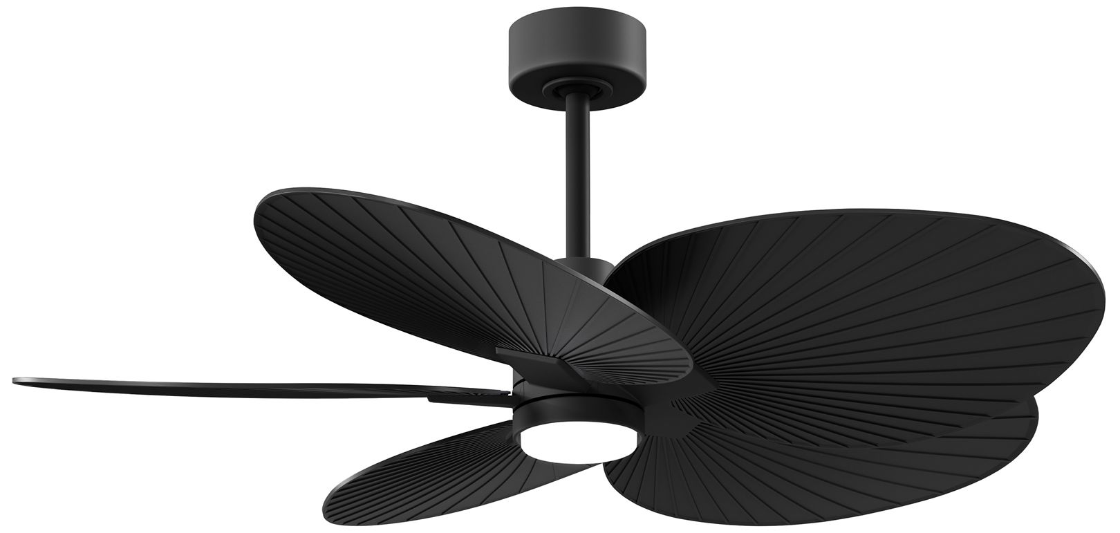 Matthews Fan Alessandra Tropical-LK Black Collection