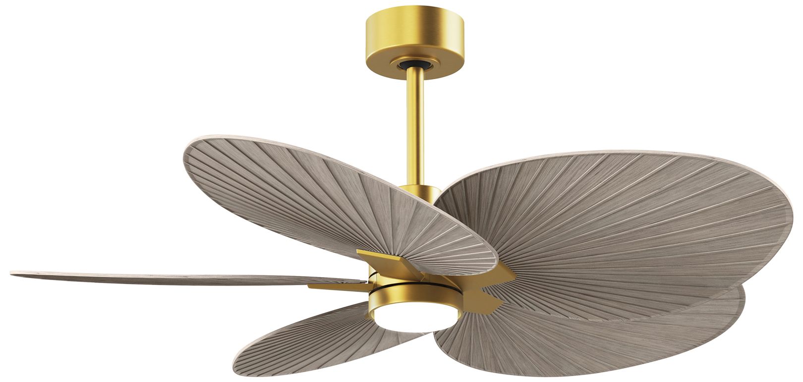 Matthews Fan Alessandra Tropical-LK Gold Collection