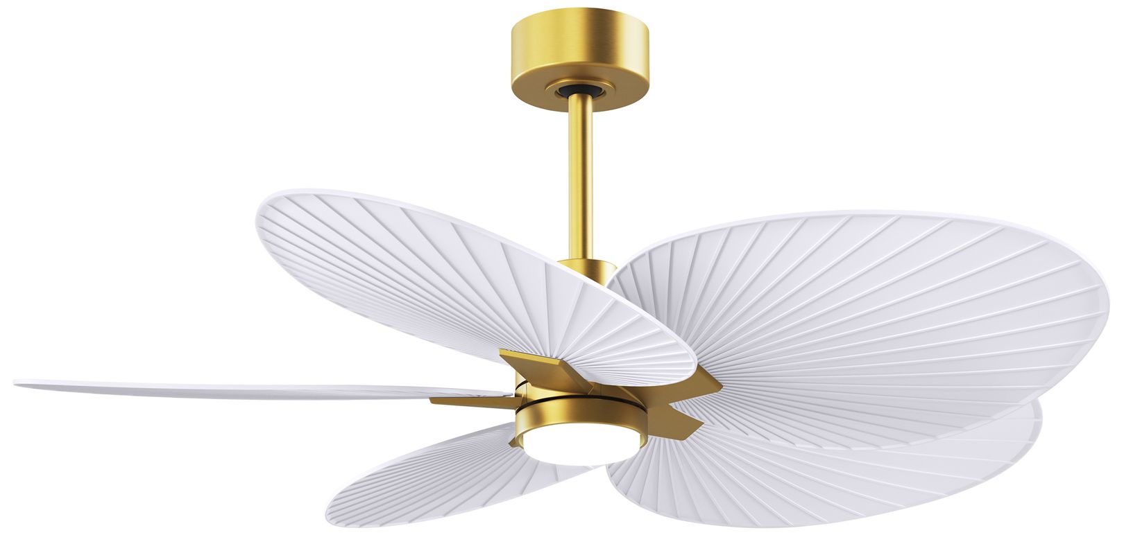 Matthews Fan Alessandra Tropical-LK Gold Collection