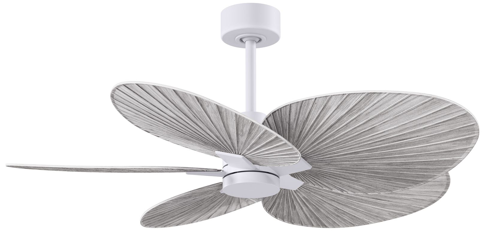 Matthews Fan Alessandra Tropical White Collection