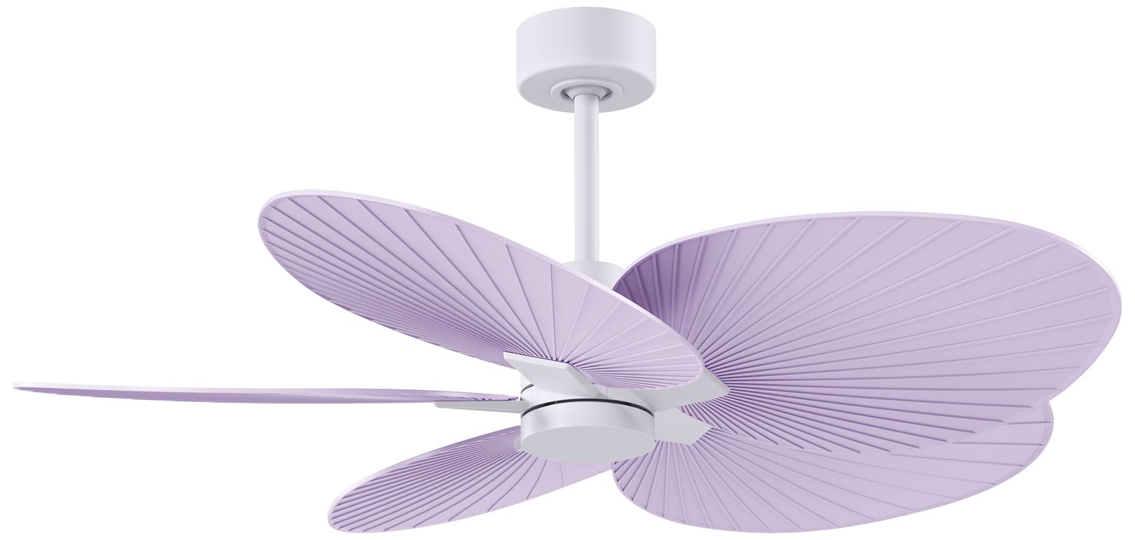 Matthews Fan Alessandra Tropical White Collection