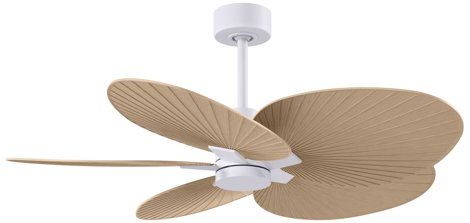 Matthews Fan Alessandra Tropical White Collection