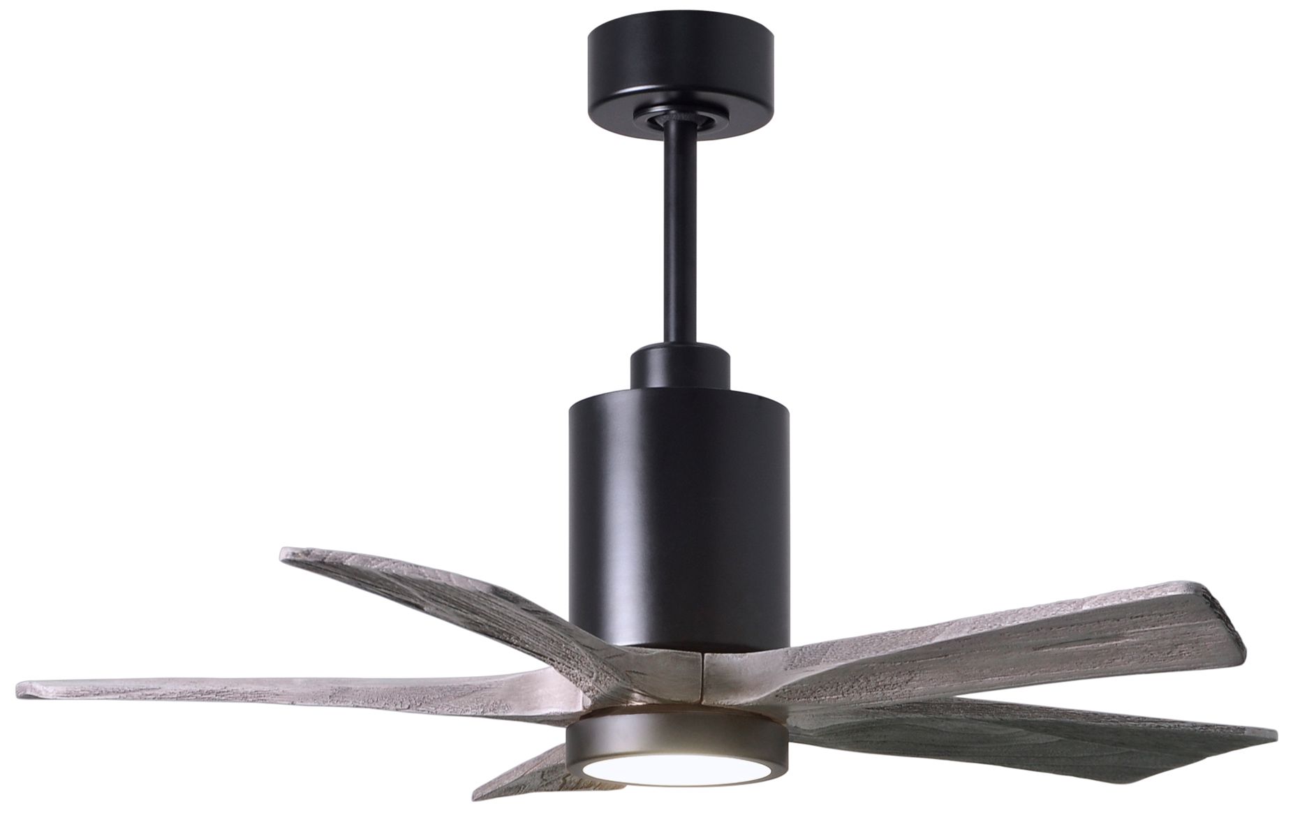 Matthews Fan Company Patricia-5 Black Collection