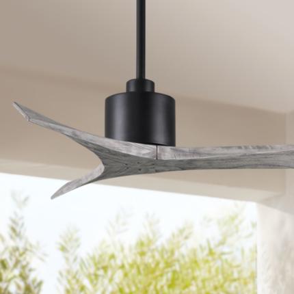 Matthews Fan Mollywood Black Collection