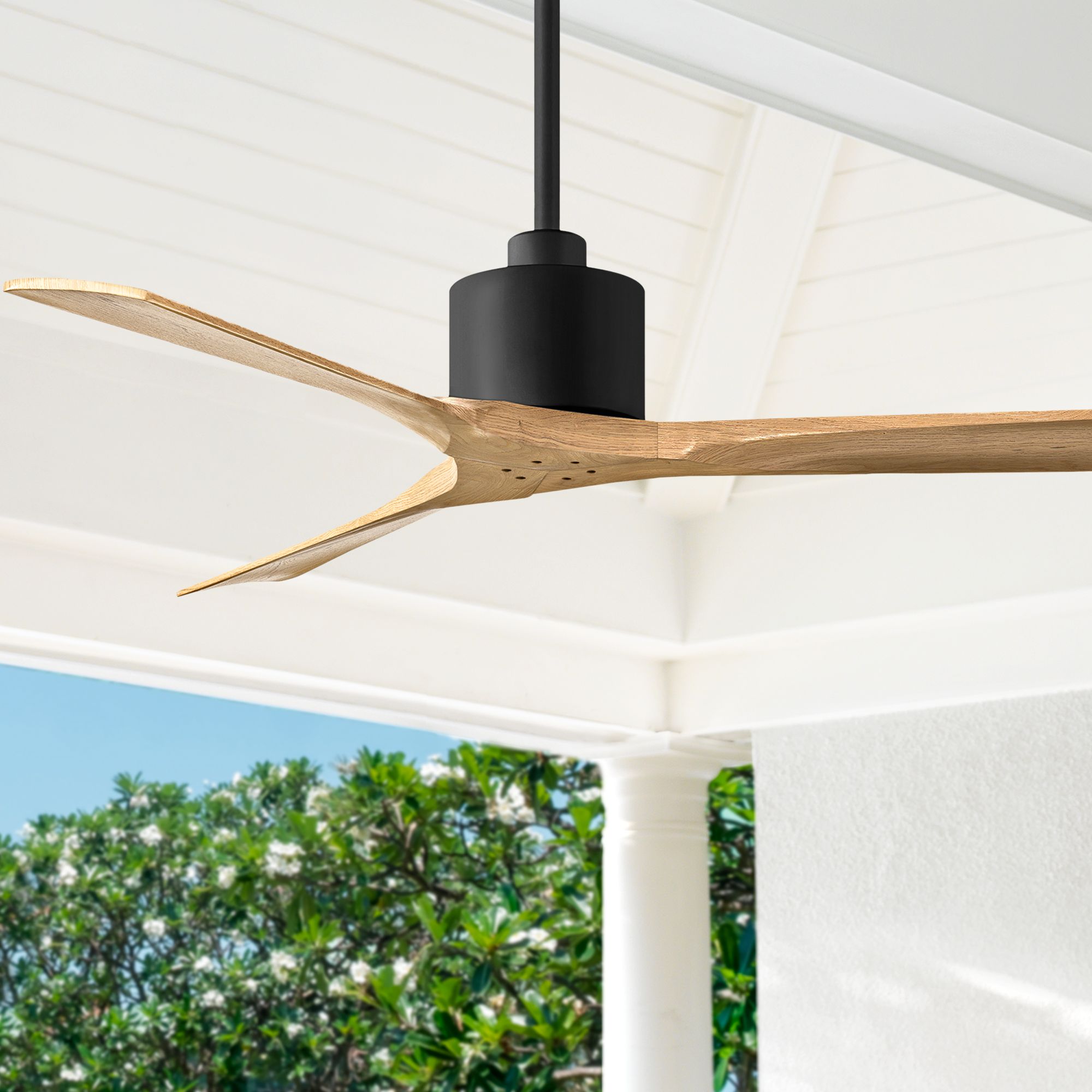 Matthews Fan Nan Black Collection